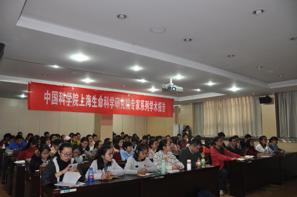 3D174D2468D26D9D5A409C73469_9568ADC8_11A25.jpg